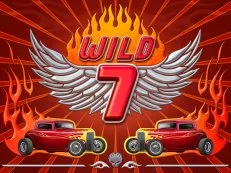 Wild7