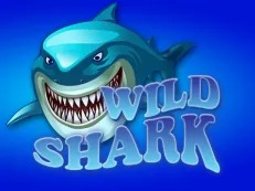 Wild Shark