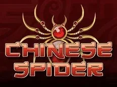 Chinese Spider