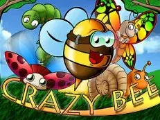 Crazy Bee