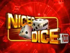 Nicer Dice 100